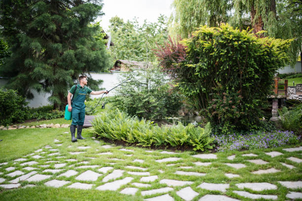 Best Pest Inspection Near Me  in Hampton, IL